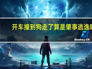 开车撞到狗走了算是肇事逃逸吗