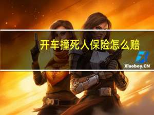 开车撞死人保险怎么赔