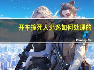 开车撞死人逃逸如何处理的