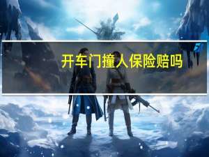 开车门撞人保险赔吗