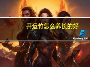 开运竹怎么养长的好