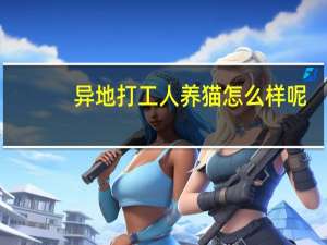 异地打工人养猫怎么样呢