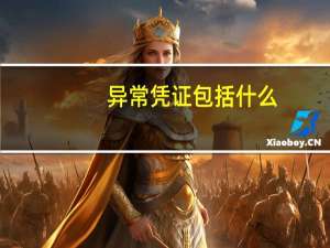 异常凭证包括什么