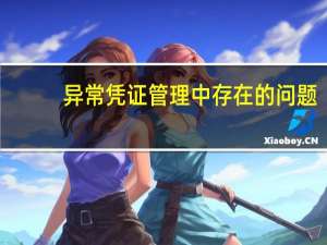 异常凭证管理中存在的问题