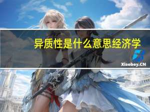 异质性是什么意思经济学（异质性是什么意思）