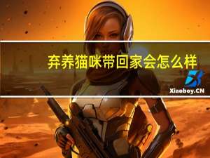 弃养猫咪带回家会怎么样