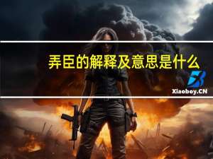 弄臣的解释及意思是什么