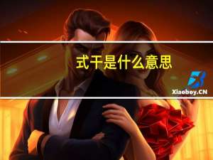 式干是什么意思