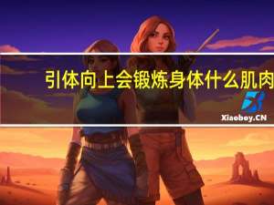 引体向上会锻炼身体什么肌肉