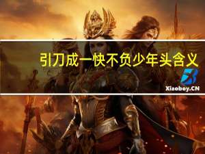 引刀成一快不负少年头含义（引刀成一快不负少年头）