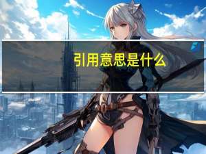 引用意思是什么