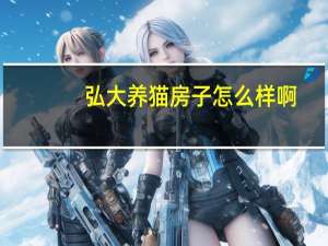 弘大养猫房子怎么样啊