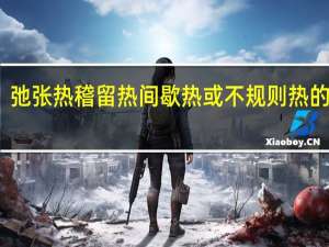 弛张热稽留热间歇热或不规则热的特点