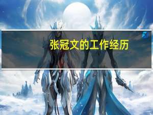 张冠文的工作经历