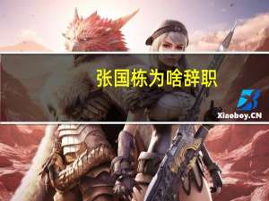张国栋为啥辞职