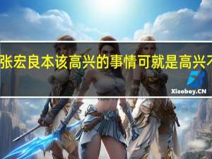 张宏良本该高兴的事情可就是高兴不起来（秘密的事情简介）