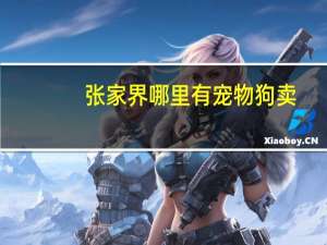 张家界哪里有宠物狗卖
