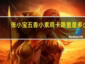 张小宝 五香小素鸡卡路里是多少