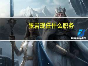 张岩现任什么职务