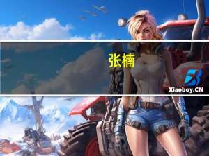 张楠（关于张楠的介绍）