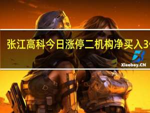 张江高科今日涨停 二机构净买入3亿元