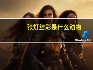 张灯结彩是什么动物