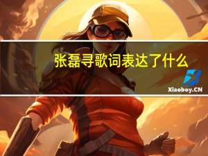 张磊寻歌词表达了什么