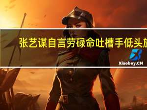 张艺谋自言劳碌命 吐槽手低头族：你看还是手机看