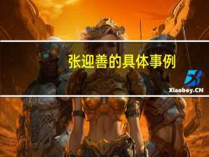 张迎善的具体事例（张迎善）