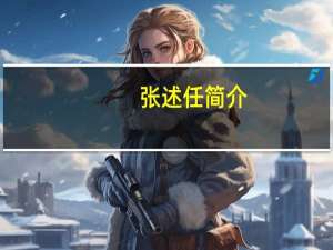 张述任简介（张述）