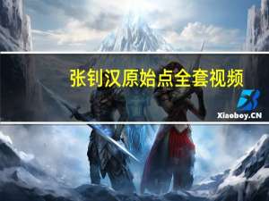 张钊汉原始点全套视频（张钊汉原始点疗法案例）