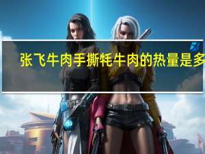 张飞牛肉 手撕牦牛肉的热量是多少