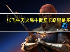张飞牛肉 火爆牛板筋卡路里是多少