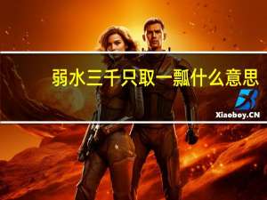 弱水三千只取一瓢什么意思