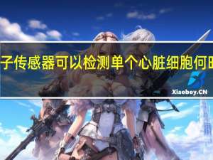 弹出式电子传感器可以检测单个心脏细胞何时出现异常行为
