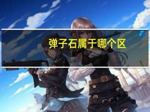 弹子石属于哪个区