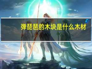 弹琵琶的木块是什么木材