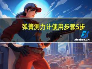 弹簧测力计使用步骤5步