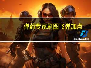 弹药专家刷图飞弹加点（弹药专家刷图加点）