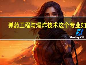 弹药工程与爆炸技术这个专业如何