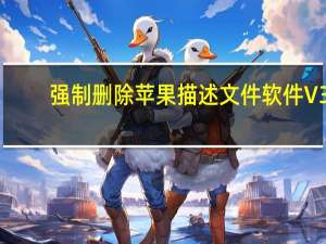 强制删除苹果描述文件软件 V3.6.2.300 官方免费版（强制删除苹果描述文件软件 V3.6.2.300 官方免费版功能简介）