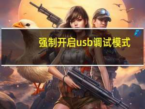 强制开启usb调试模式