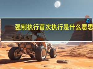 强制执行首次执行是什么意思