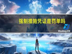 强制措施凭证是罚单吗