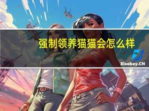 强制领养猫猫会怎么样