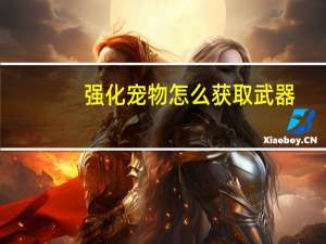 强化宠物怎么获取武器