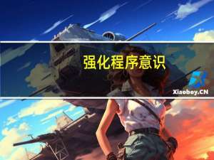 强化程序意识