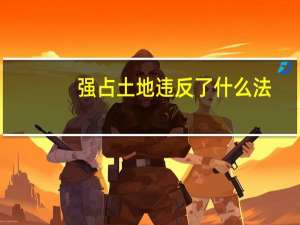 强占土地违反了什么法