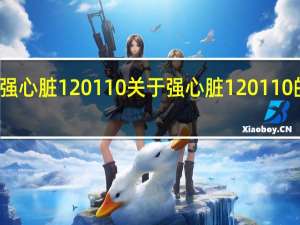 强心脏120110 关于强心脏120110的介绍