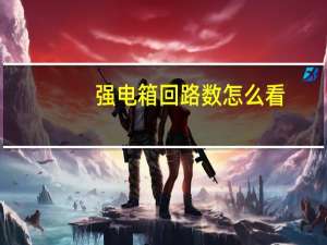 强电箱回路数怎么看